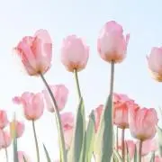 ゆり✨断捨離・在庫処分中✨の画像