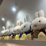 AO