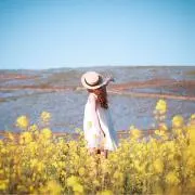 aki＊プロフ読んでくださいの画像