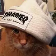 ハコソバ