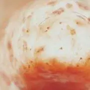 谷尾瑞江の画像