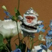 ゴリミ