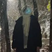 まめの画像