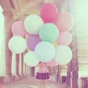 ぱすてるの画像