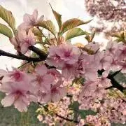 Am’sの画像