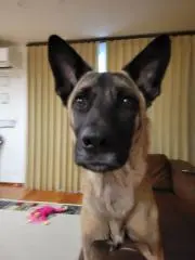 むっちゃん