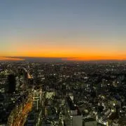 midoriの画像