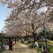シューの画像
