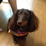 さーやの画像