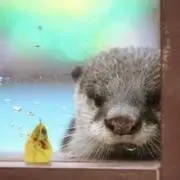 riの画像