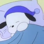 Chimの画像