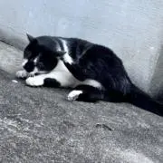 Image of はるとぶ