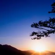 サブ11の画像