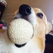 バーン