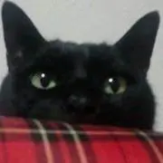 Yunaの画像