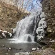 A 次回発送29日の画像