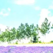 いいねお待ちしてますの画像