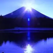 どりあじの画像