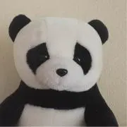 ゆったんの画像