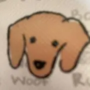 ダックスフントの画像