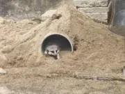 になの画像