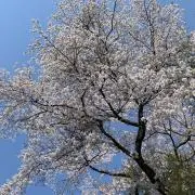 m3095mの画像