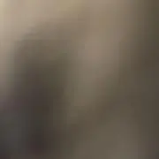 nの画像