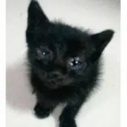 ろっくあっぷ