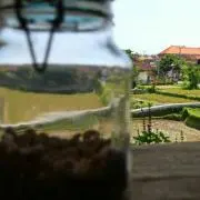 ryamanの画像