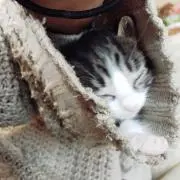 ねね@