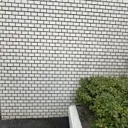 mii:)の画像