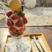 まつこの画像