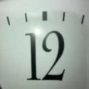 Waddの画像