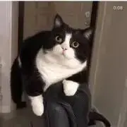 bareの画像