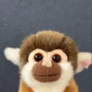 みの画像