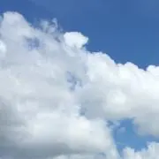 えりの画像