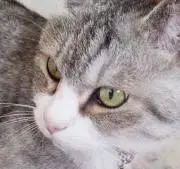 みっちゃん