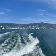 パラ