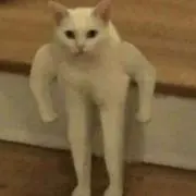 バーダック