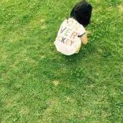 sunflowerの画像