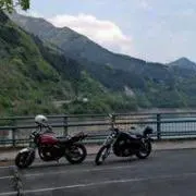 nemoの画像