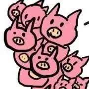 eniaの画像
