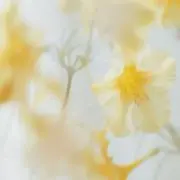 renの画像