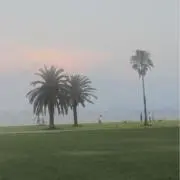 モトの画像