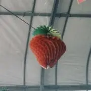 フジイ★値下げOK★の画像
