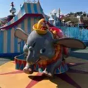 ミミの画像