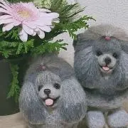maturika