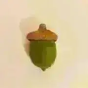Donguriの画像