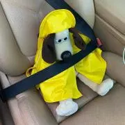 ザノ