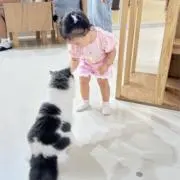 国達-開封時に動画撮影しています！！！の画像